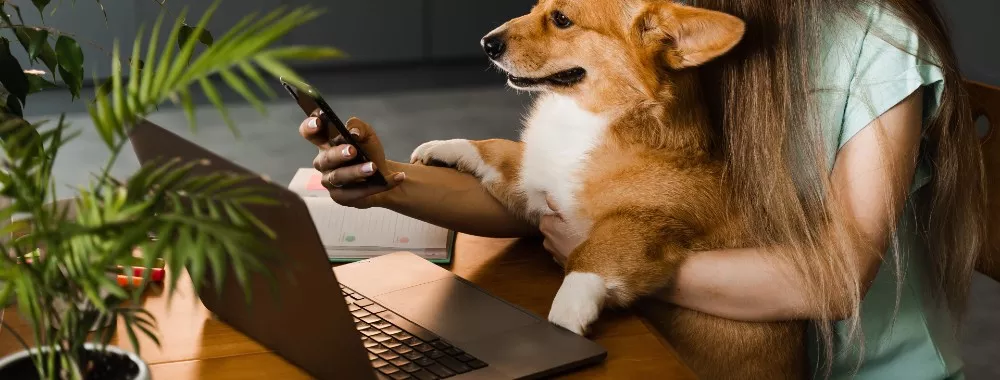 Safari Can’t Connect to iCloud Private Relay: Why & How to Fix It?